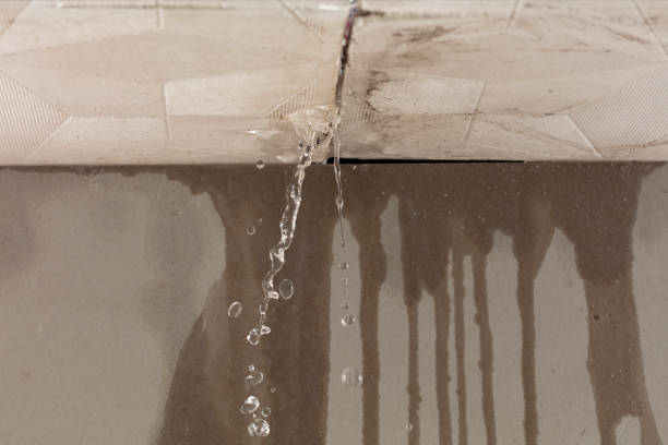 Professional Flood Damage Cleanup technician working in Bellevue, WA